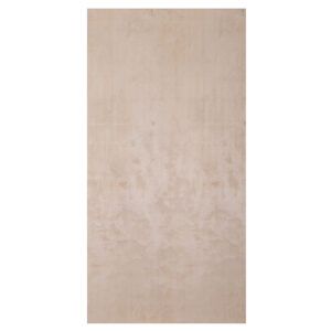 2440 x 1220 x 12mm Birch Throughout Plywood BB:BB FSC® 7