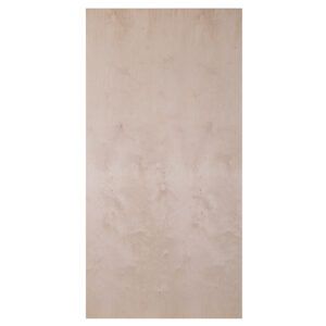 2440 x 1220 x 15mm Birch Throughout Plywood BB:BB FSC® 8