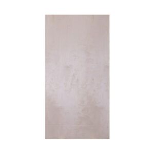 2440 x 1220 x 6.5mm Birch Throughout Plywood BB:WG FSC® 4