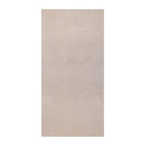 2440 x 1220 x 9mm Birch Throughout Plywood B:BB FSC® 4