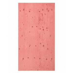 18-24mm Wisa SpruceFR Fire Retardant Plywood Euroclass B 3