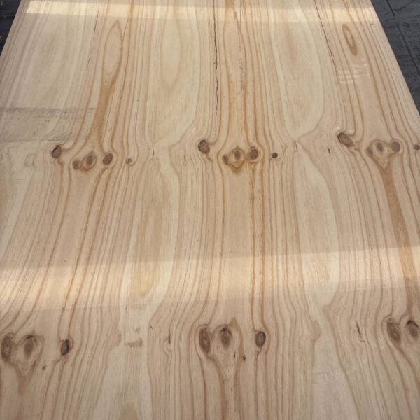 Damaged Stock 12mm ARAUCOPLY Radiata Pine Softwood Plywood CPC 2440mm x 1220mm (8' x 4') FSC®