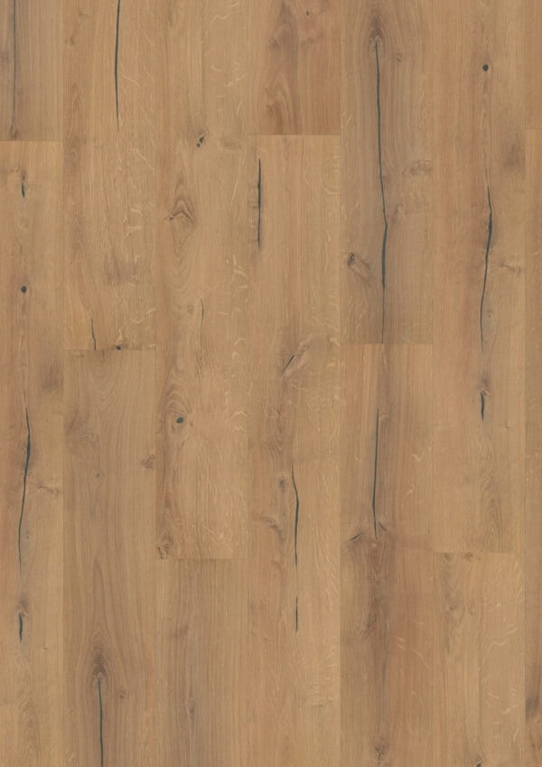 8mm Laminated Flooring Polka Oak 1331mm x 194mm (2,07m2 Pack)