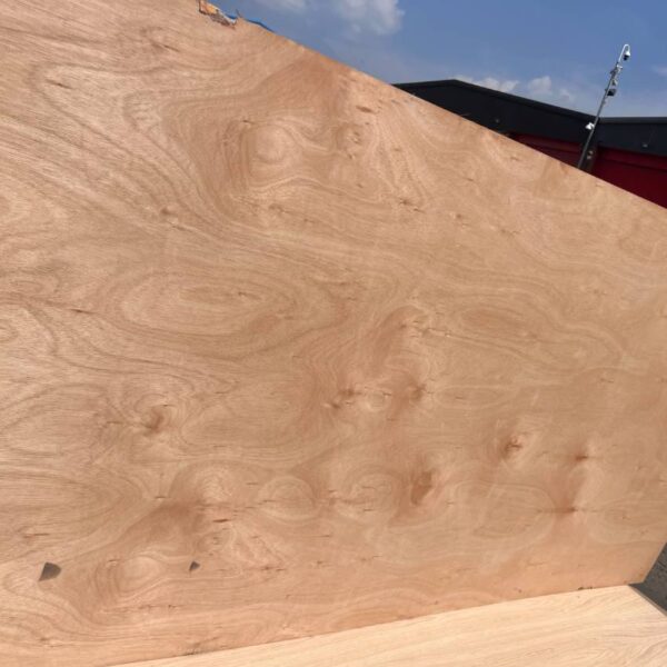 Damaged Stock 5.5mm Eucalyptus Throughout Premium Hardwood Plywood B/BB 2440mm x 1220mm FSC®
