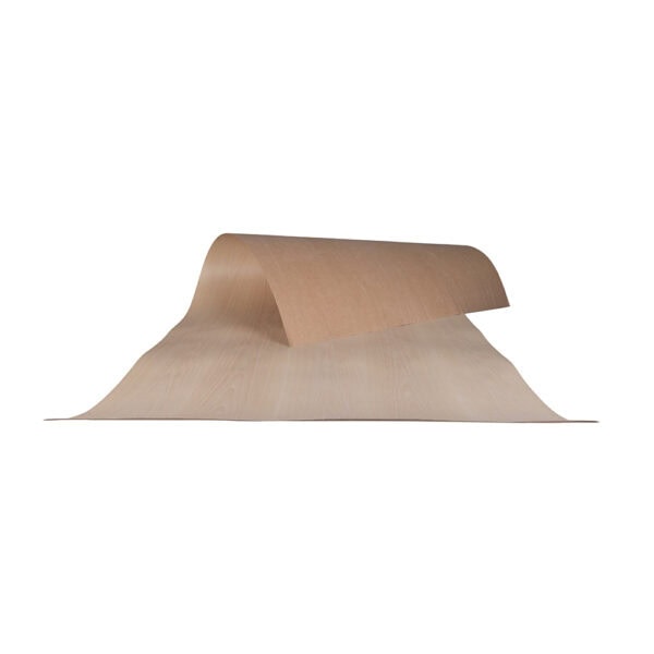 White Beech Flexible Wood Veneer Crown Cut Long Grain 2440mm x 1220mm (8′ x 4′)