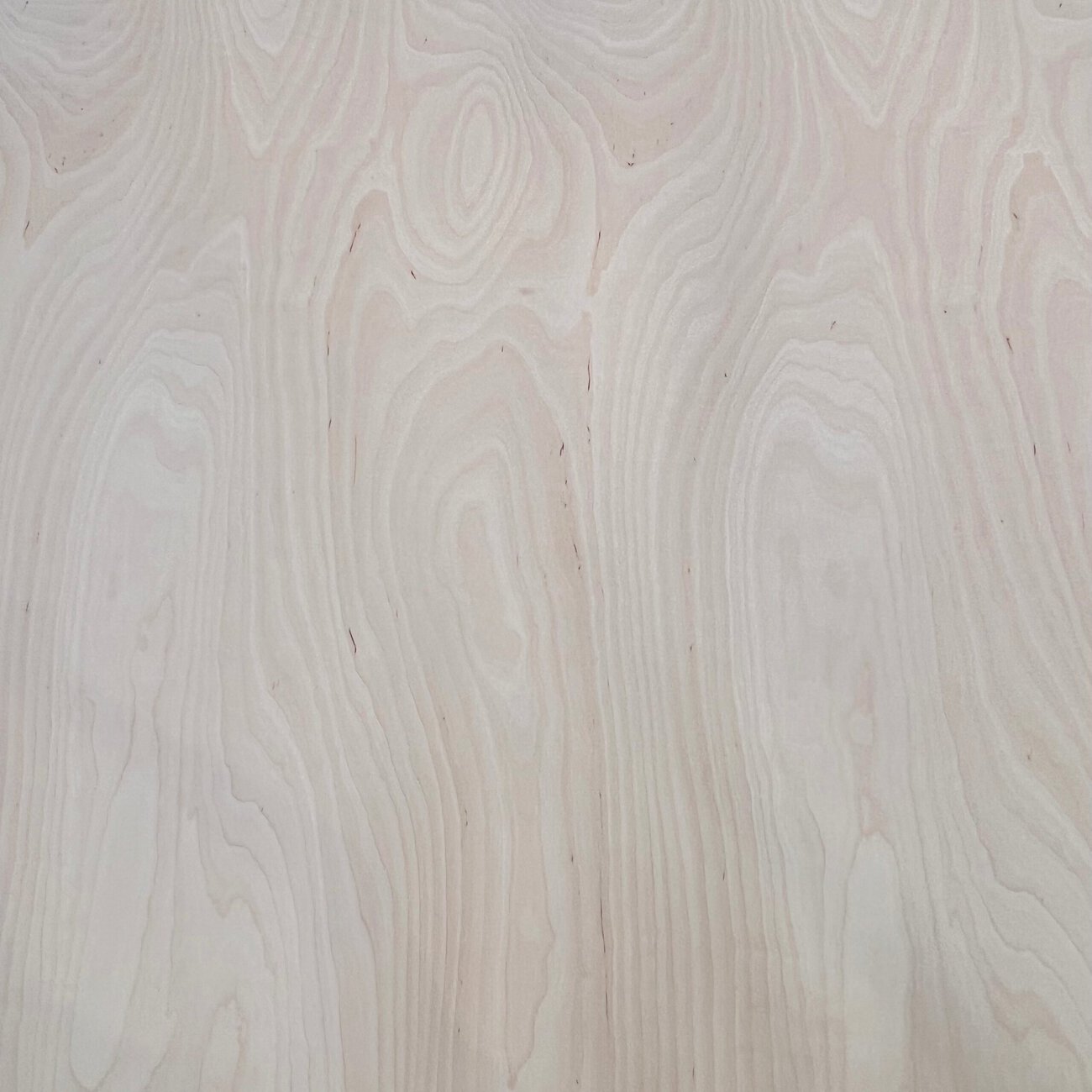 3mm Birch Plywood Throughout BB/BB 1525 x 1525mm (5′ x 5′) 3mm Birch Plywood Throughout BB/BB 1525 x 1525mm (5′ x 5′)