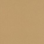 Golden Brushed Metal