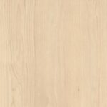Sand Birch