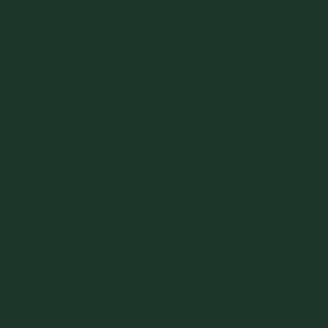 18mm Egger U699 ST9 Fir Green Melamine Faced Chipboard 2800 x 2070mm