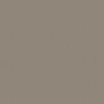 Dark Taupe